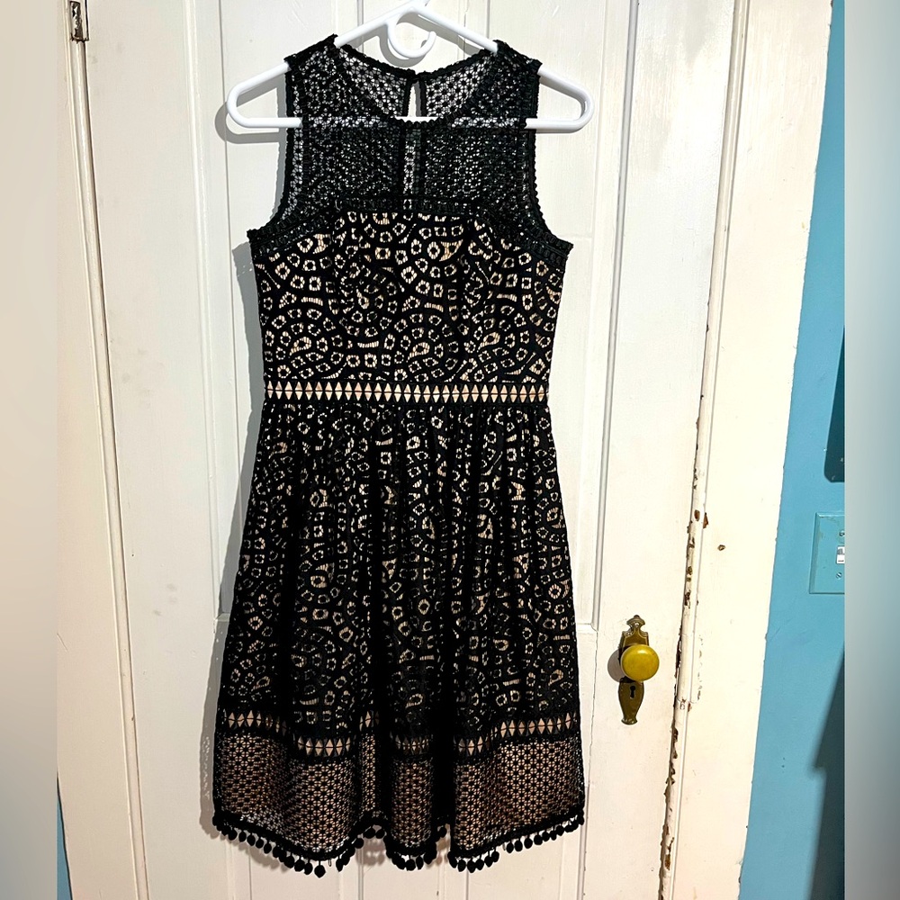 Eliza J Lace cocktail dress